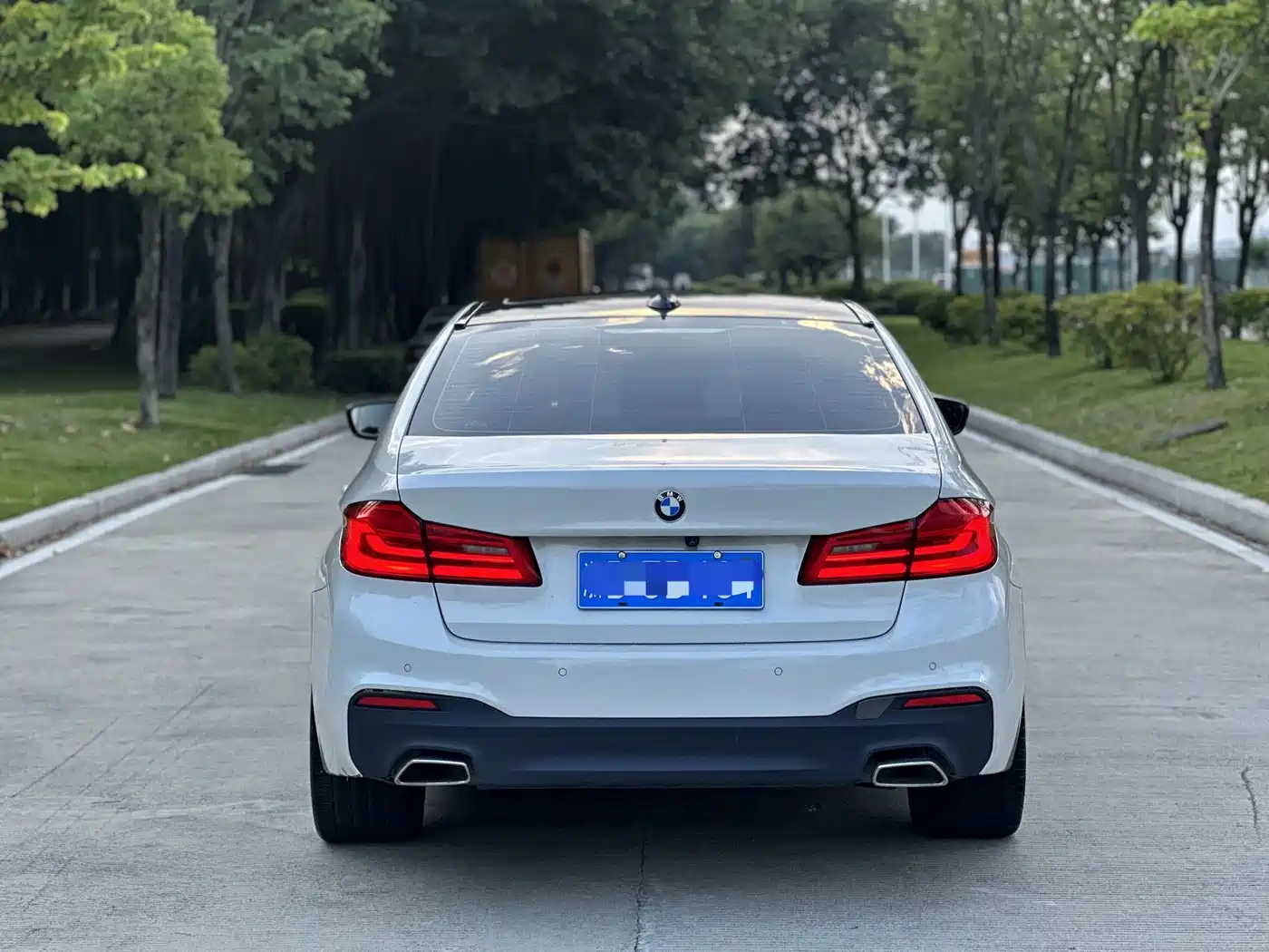BMW 5 Series 2019 530Li Premium M Sport Package фото 5