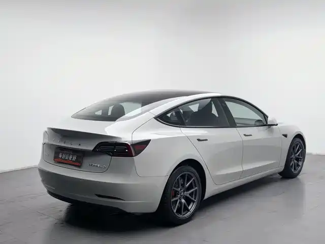 Tesla Model 3 2021 Standard Range Rear-Wheel Drive Upgrade — фото 2