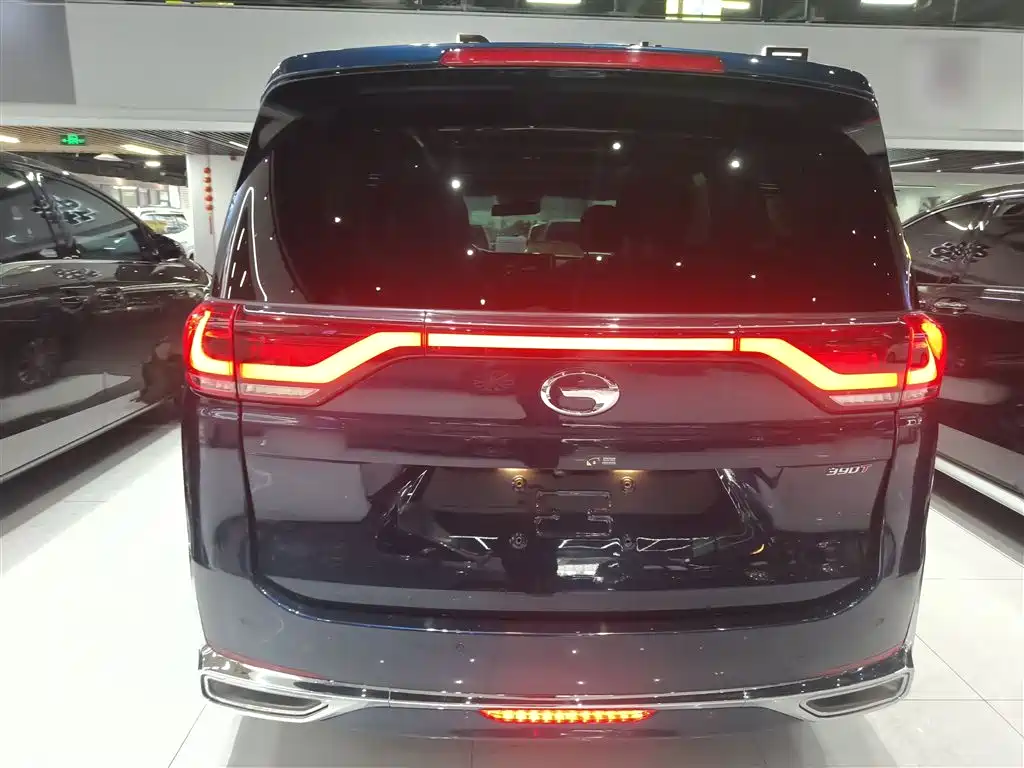 GAC Trumpchi Trumpchi M8 2021 Leading Show Series 390T Prestige Edition фото 4