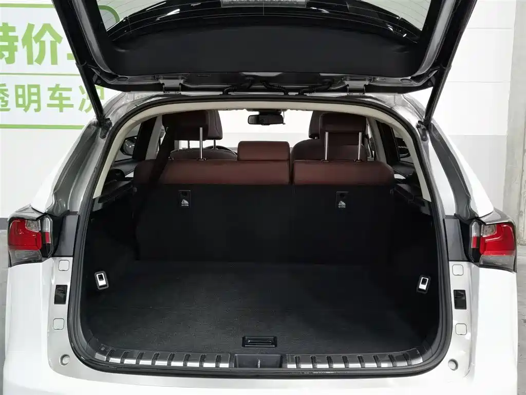 Lexus NX 2015 300h AWD F SPORT фото 16