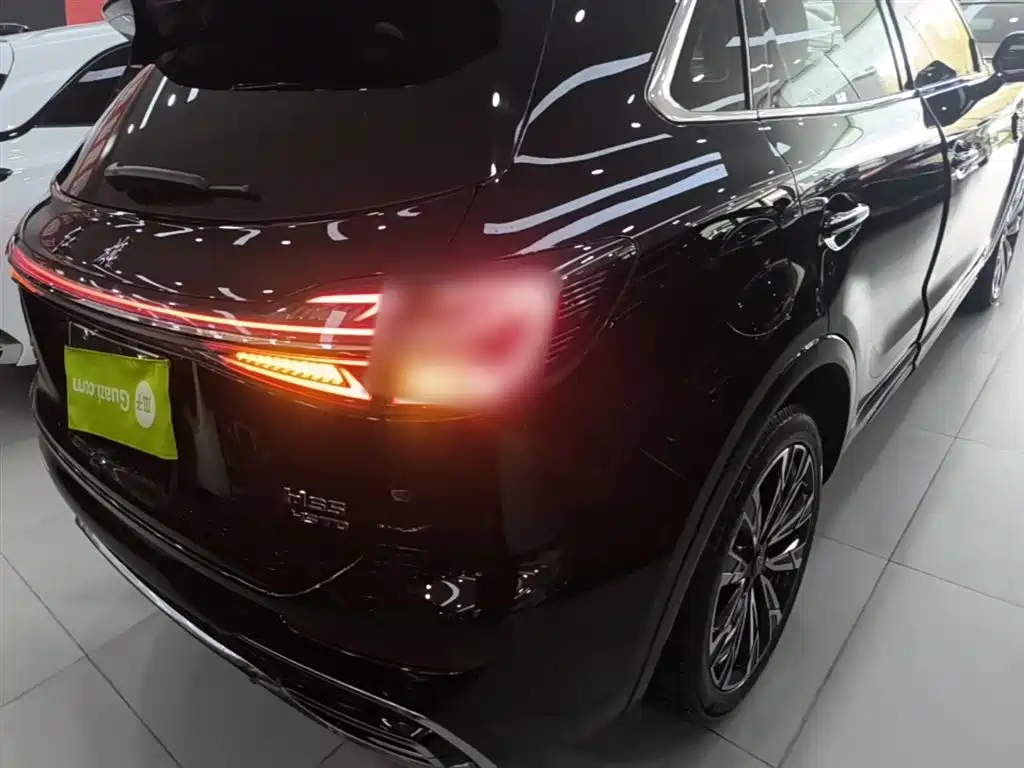 Hongqi HS5 2023 2.0T AWD Flag Enjoy Pro Edition фото 8
