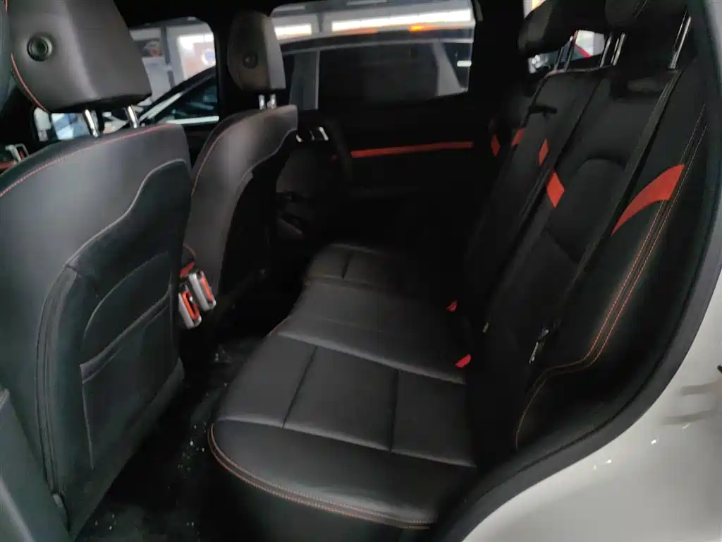 Haval Big Dog 2022 1.5T DCT FWD Labrador Edition фото 17