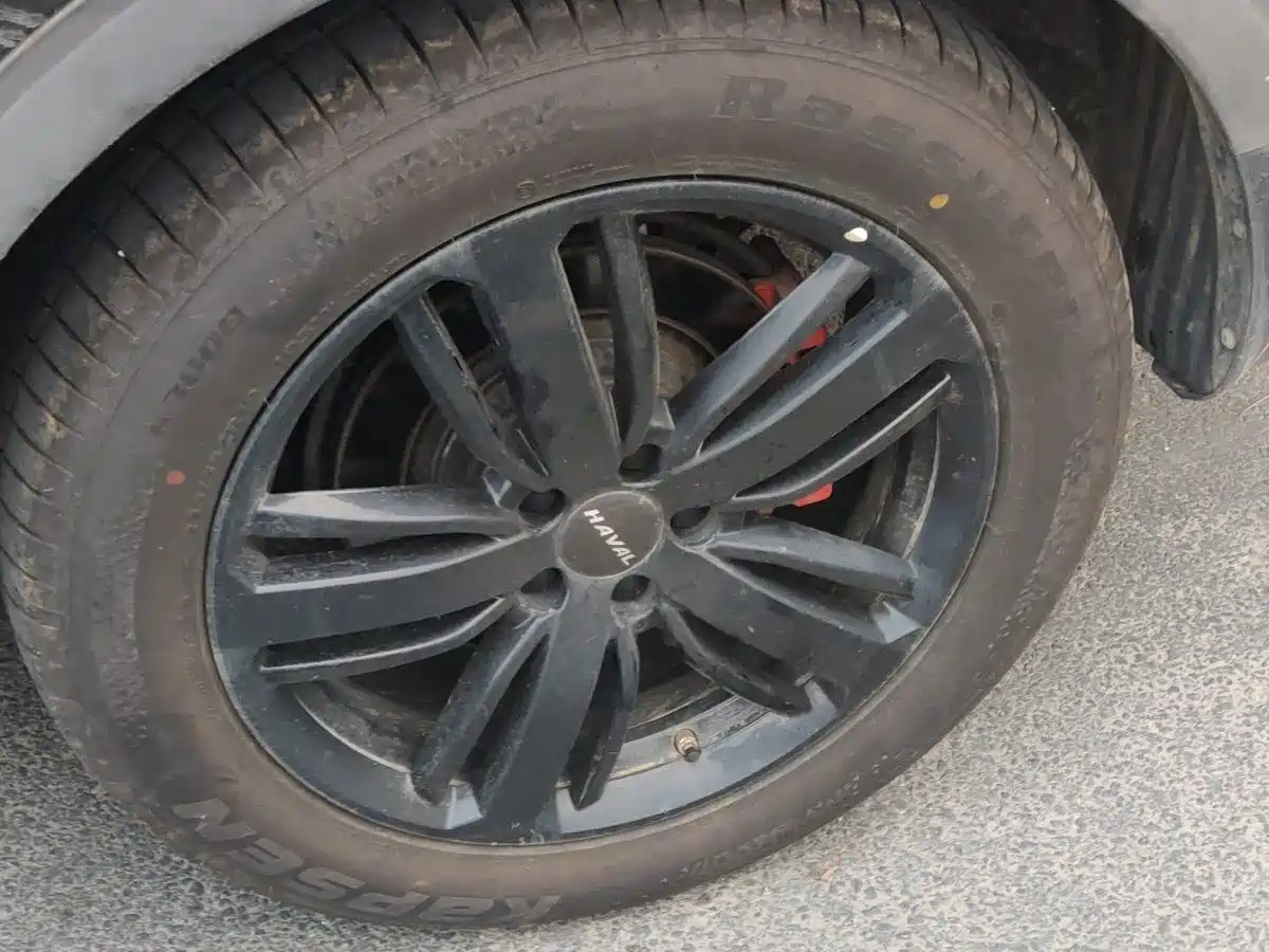 Haval H6 2021 2.0GDIT Automatic GT Luxury Edition фото 7