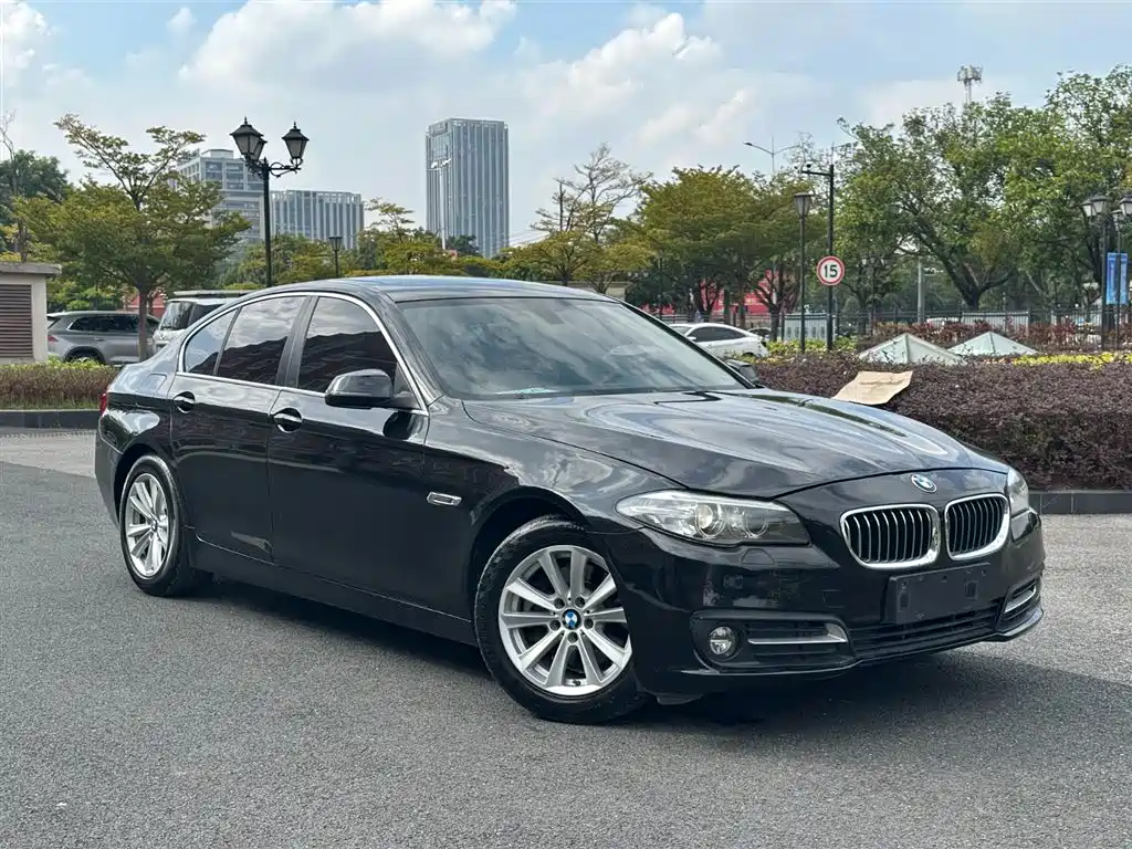 BMW 5 Series (Import) 2015 520i Elegance фото 3