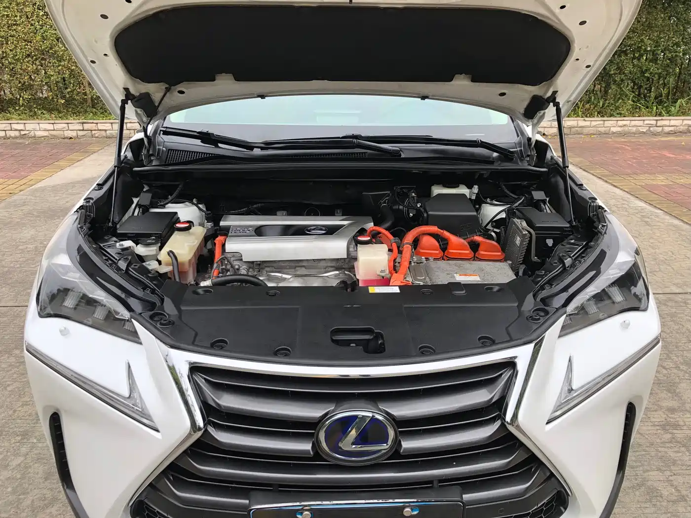 Lexus NX 2015 300h AWD F SPORT фото 17