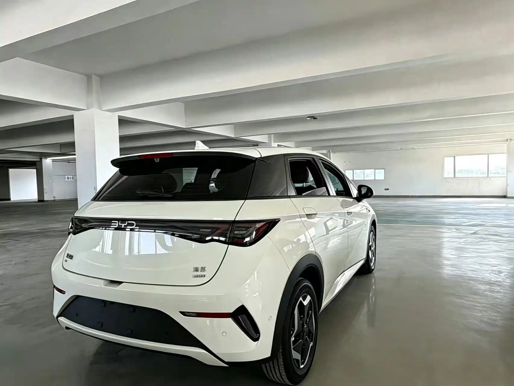 Фото 6 - BYD Dolphin