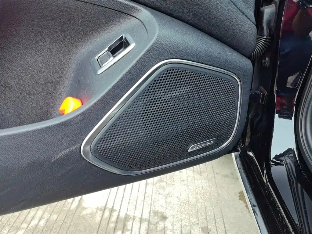 Hongqi H5 2023 2.0T Auto Smart Connect Flag Comfort фото 9