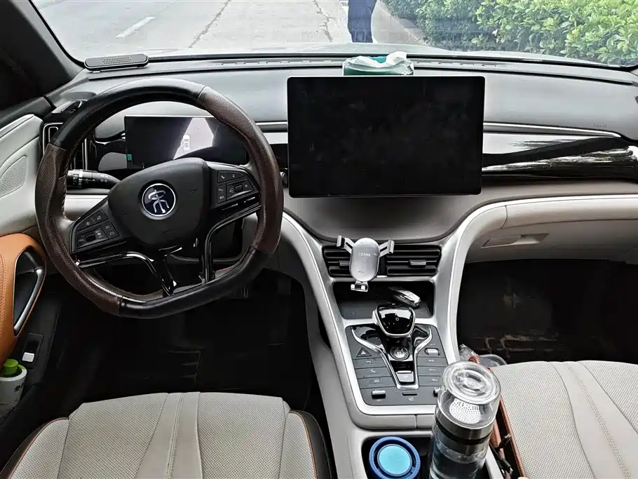 BYD Song Pro New Energy 2023 Champion Edition DM-i 110KM Excellence фото 12