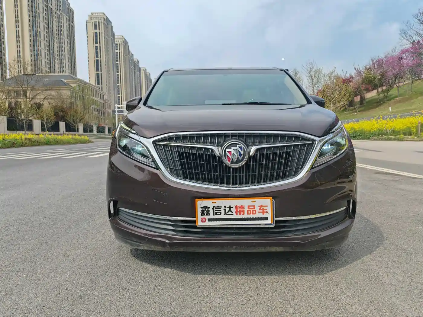 Buick GL8 2017 ES 28T Premium China V фото 2
