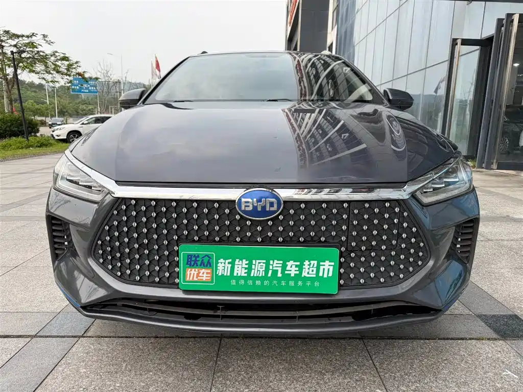 BYD E2 2019
