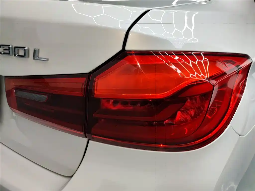 BMW 5 Series 2019 530Li Leading M Sport Package фото 8