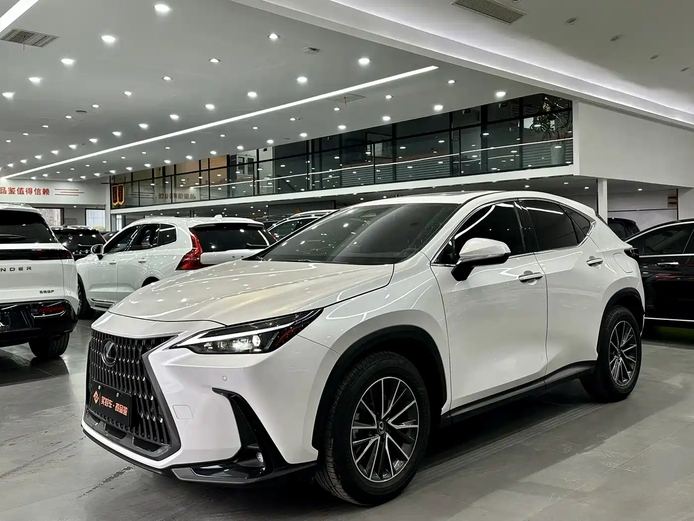 LEXUS NX
