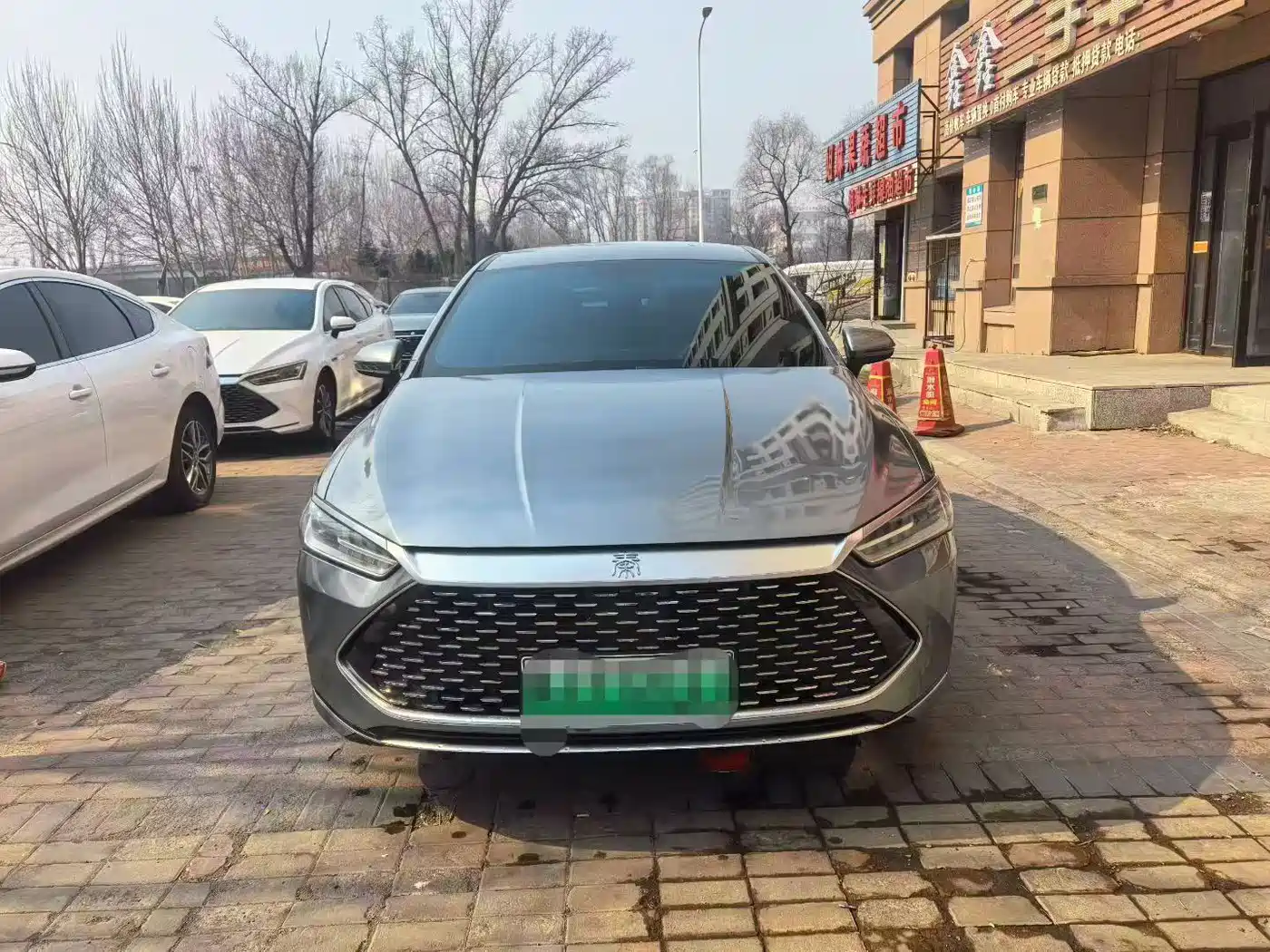 BYD Qin PLUS 2023 Champion Edition DM-i 55KM Leading фото 2