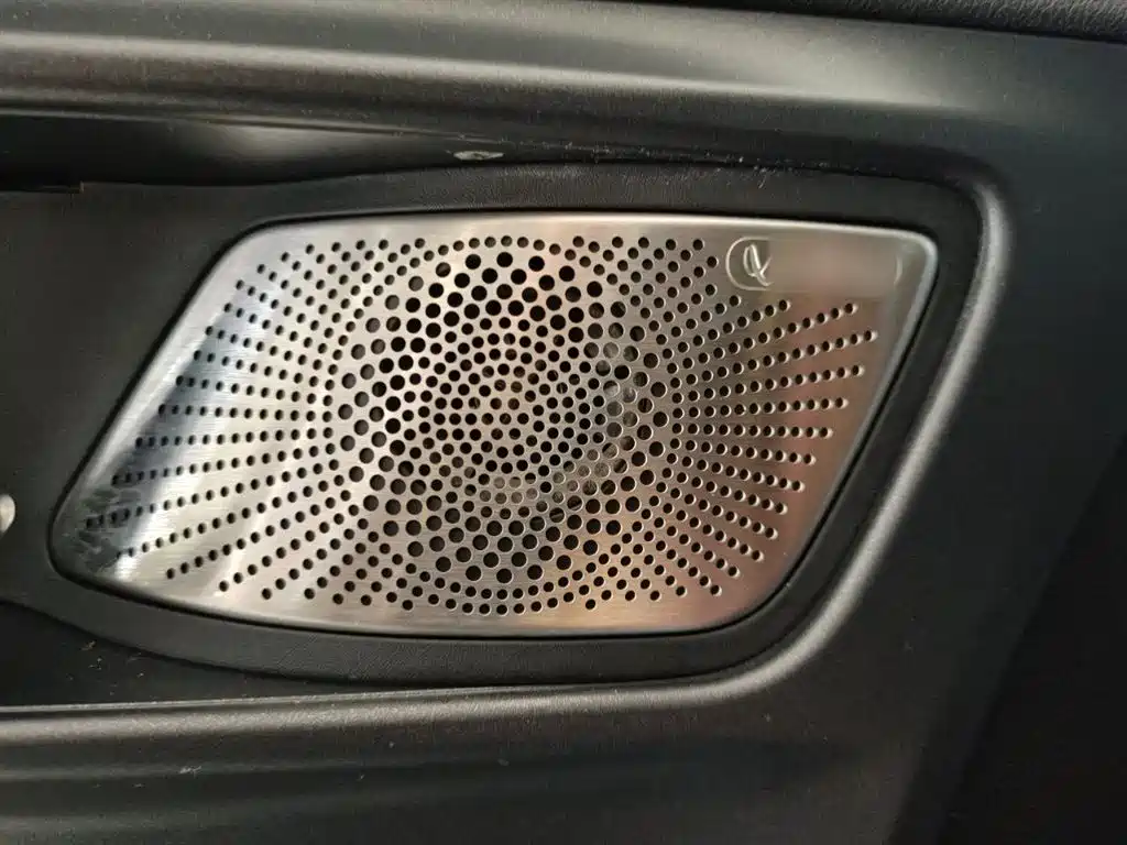 Tank 300 2024 2.0T Conqueror фото 22