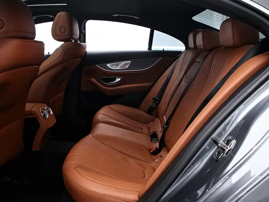 Mercedes-Benz CLS 2022 CLS 300 Luxury фото 14