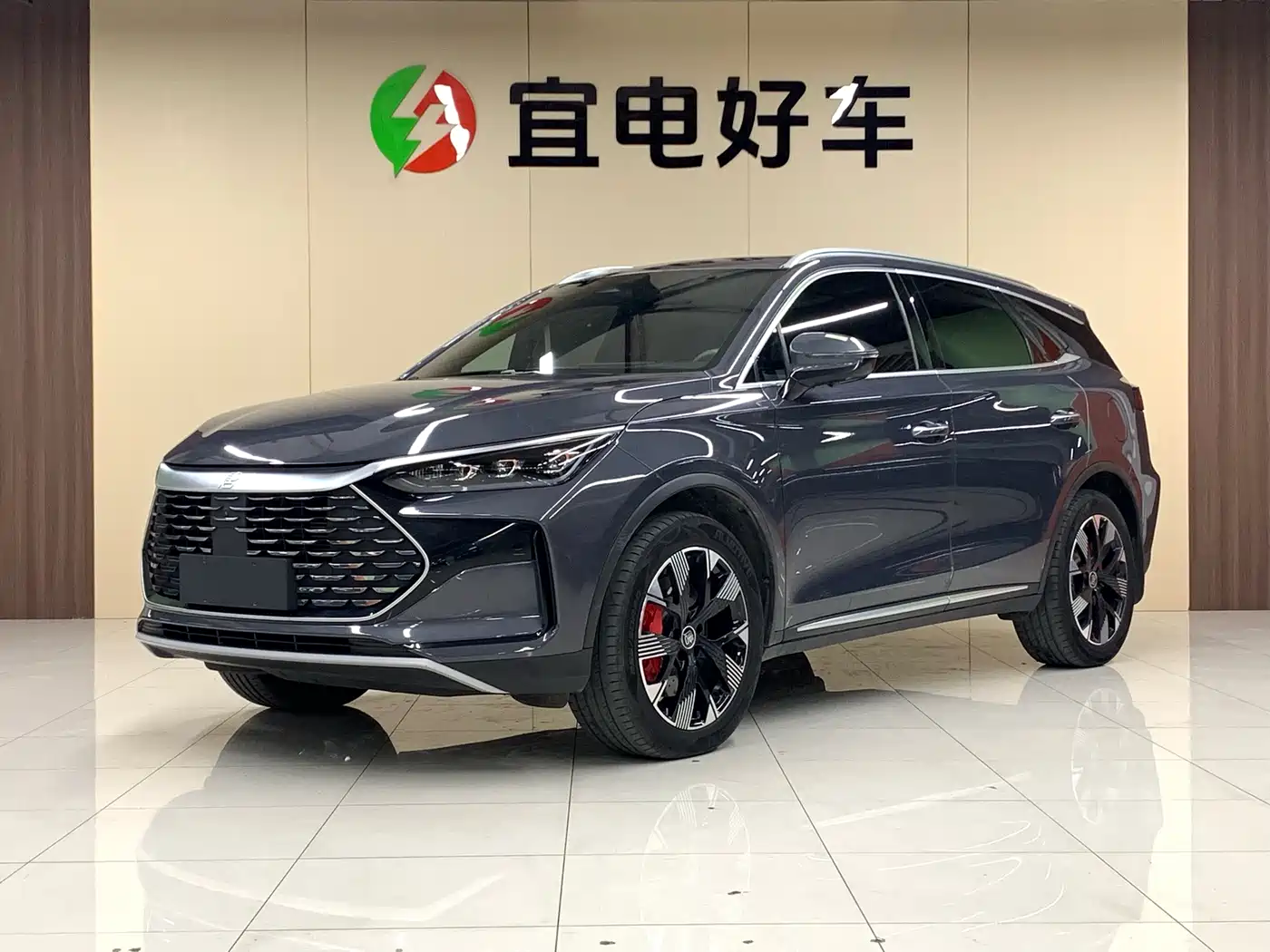 BYD Tang New Energy 2024 DM-p Champion Edition 215KM AWD Flagship