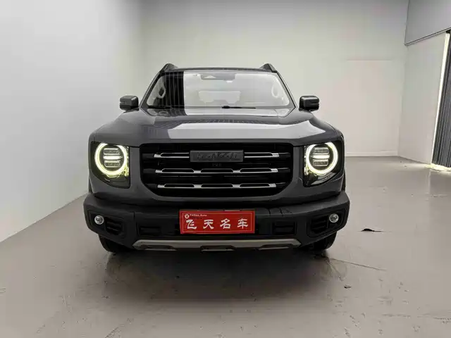 HAVAL BIG DOG