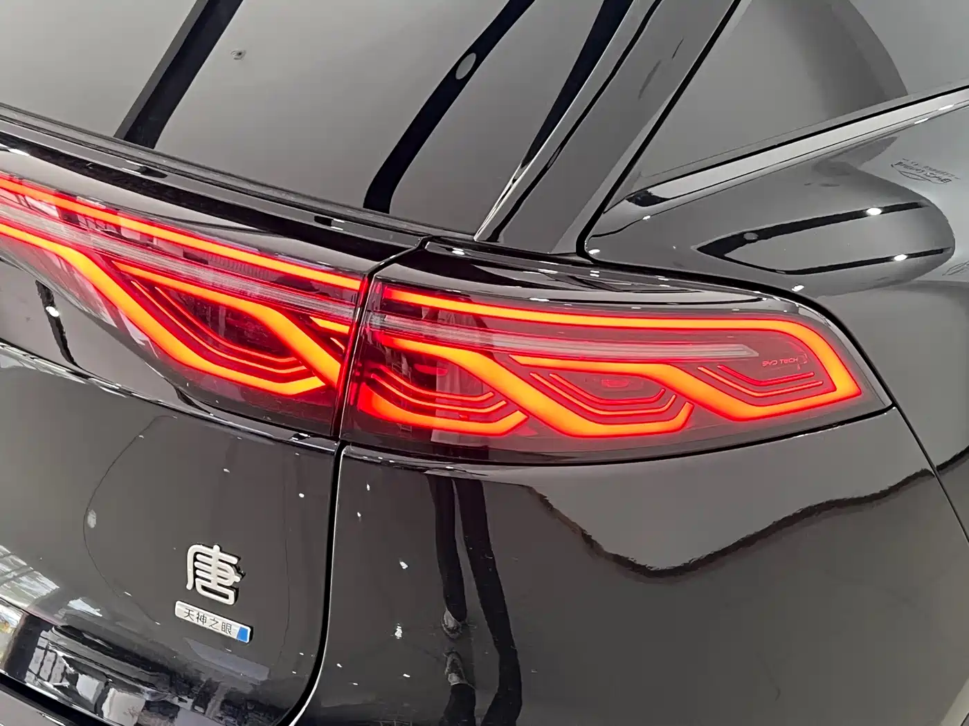 BYD Tang New Energy 2025 Smart Driving Edition DM-i 115KM Flagship фото 6