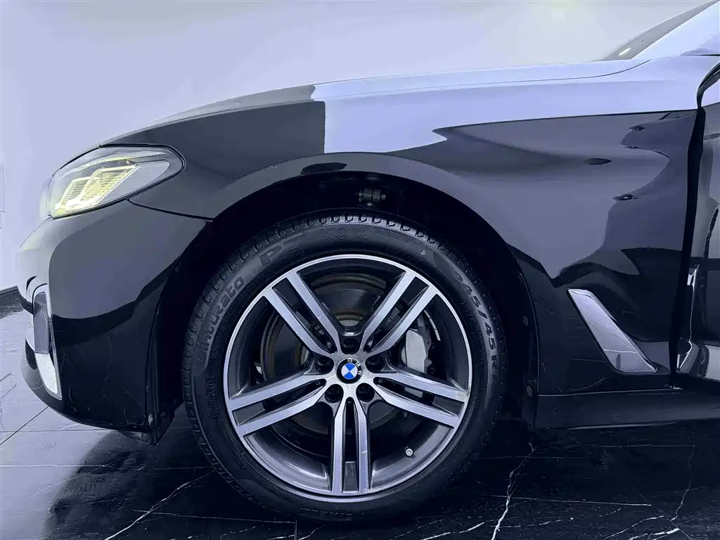 BMW 5 Series 2021 530Li Leading Luxury Package фото 18