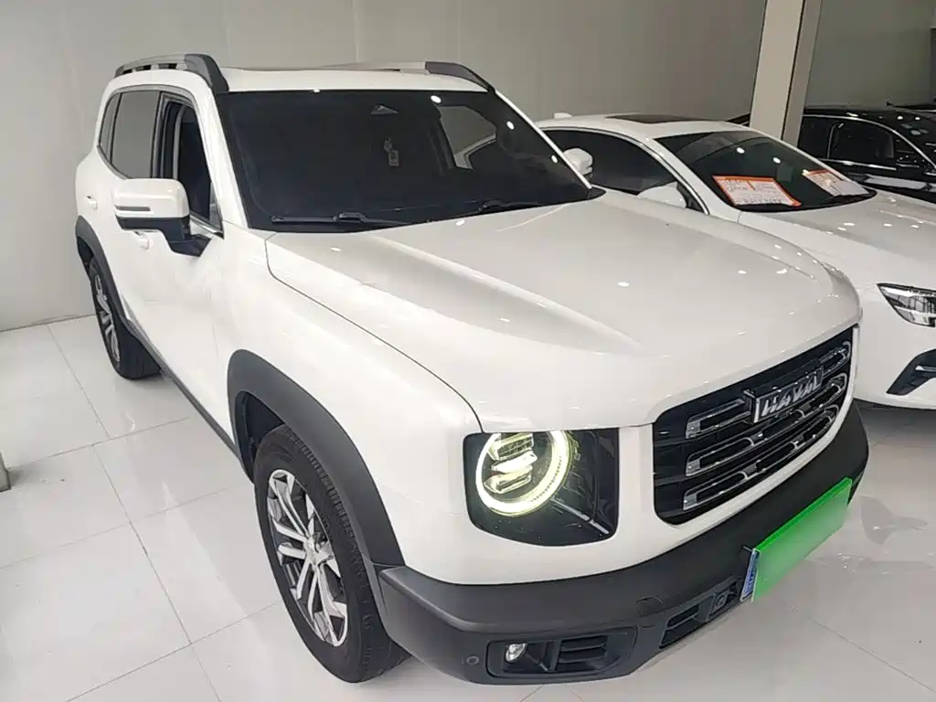 Фото 4 - Haval Dargo