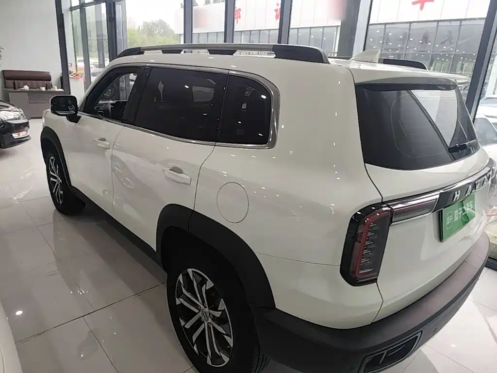 Фото 5 - Haval Dargo