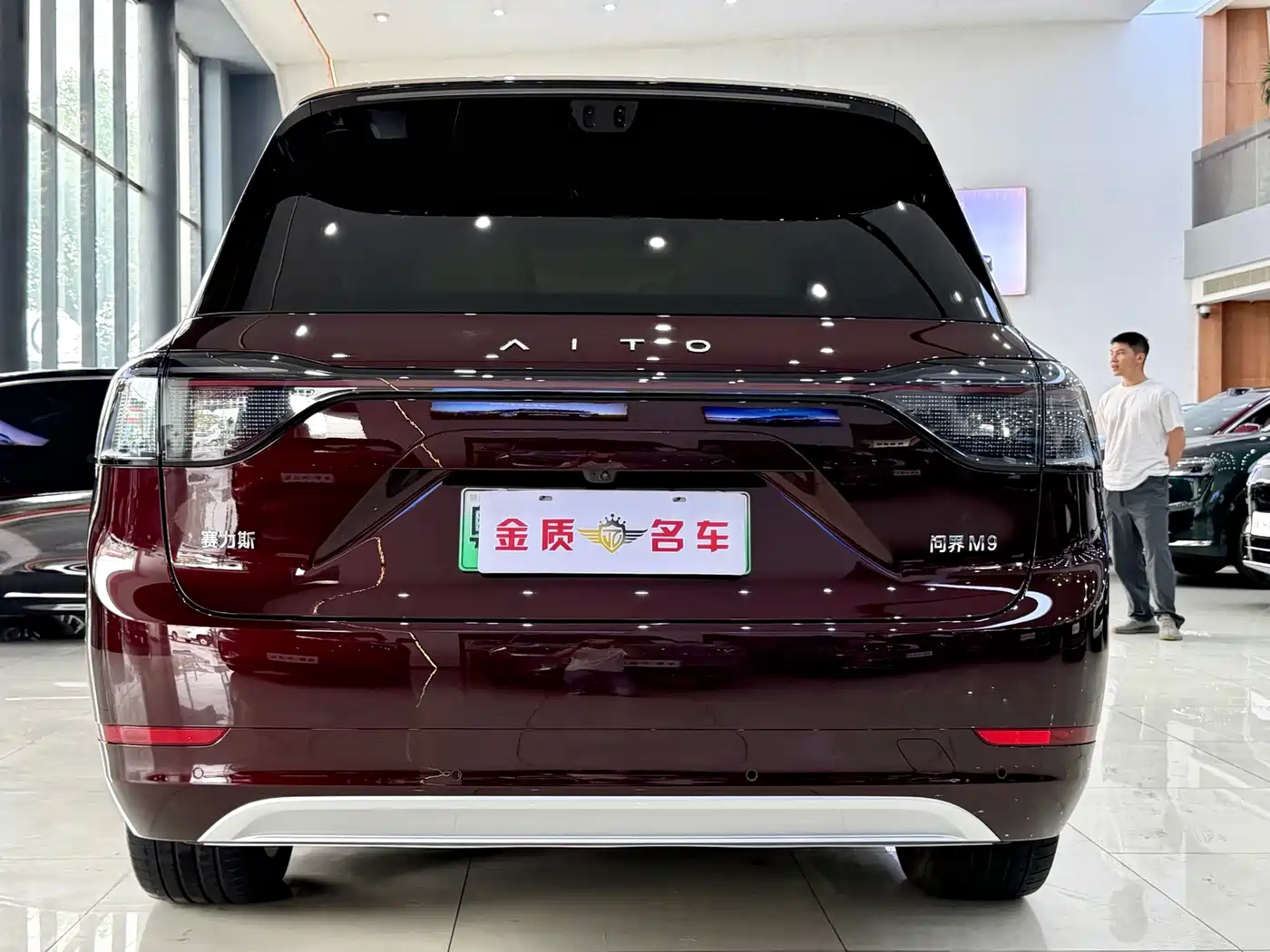 AITO Wenjie AITO M9 2025 Extended Range Ultra 52kWh 6-Seater фото 30