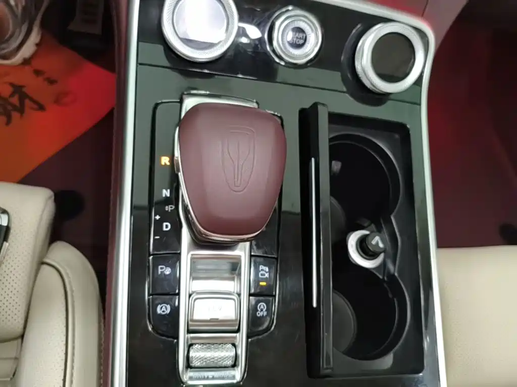 Фото 14 - Hongqi H9