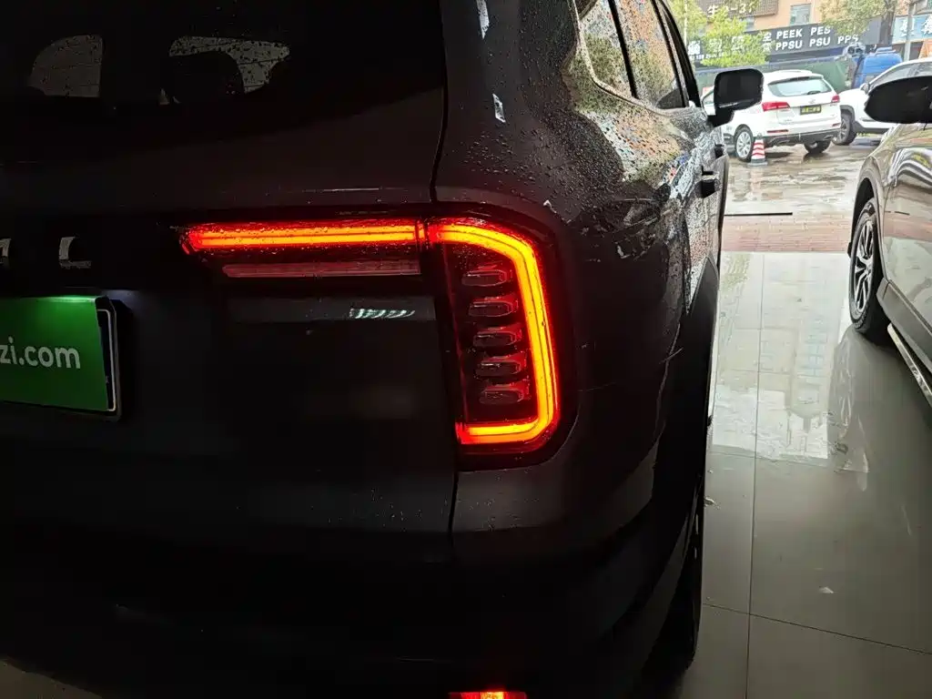 Фото 8 - Haval Dargo
