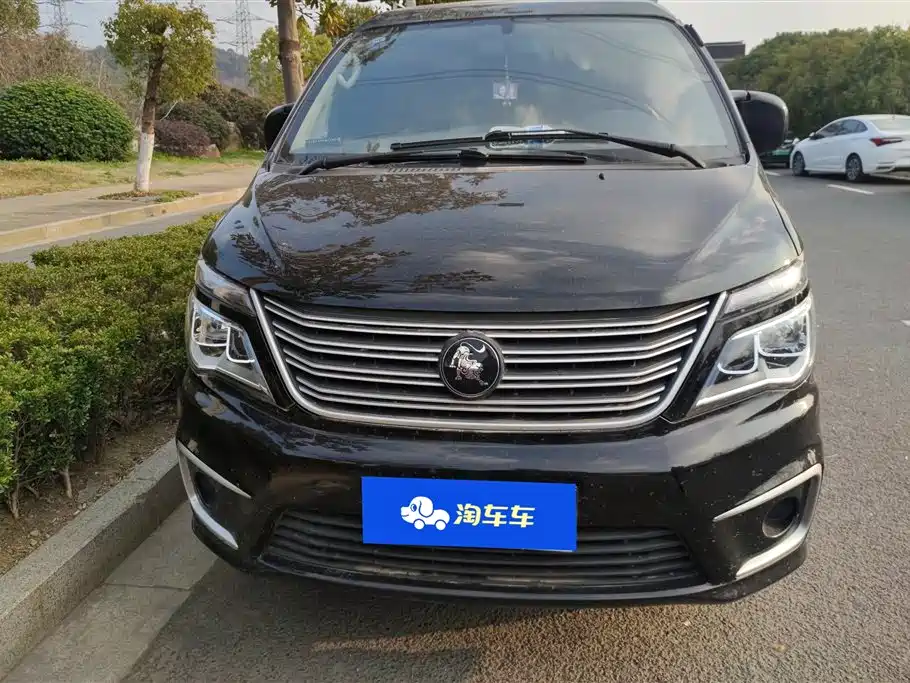 DONGFENG LINGZHI
