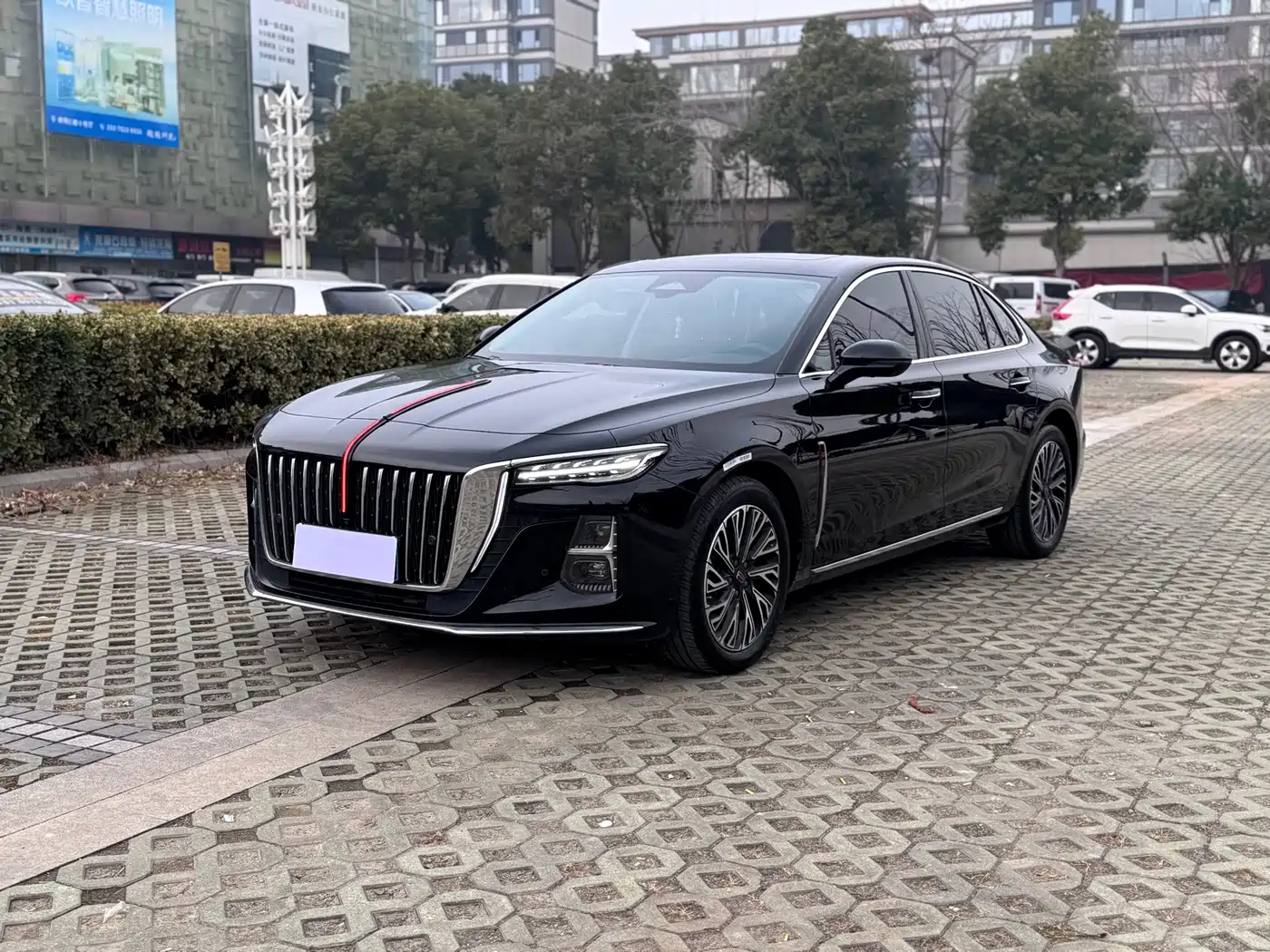 Hongqi H5 2024 2.0T Automatic Smart Connect Flag Smooth Edition