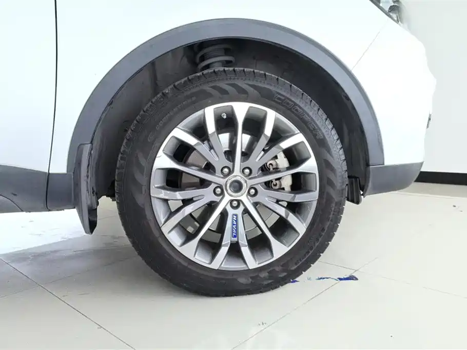 Haval H6 2017 Blue Label 2.0T Auto 2WD Leader фото 6