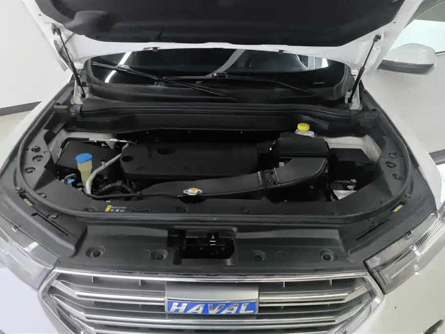 Haval H6 2017 Blue Label 2.0T Auto 2WD Leader фото 10