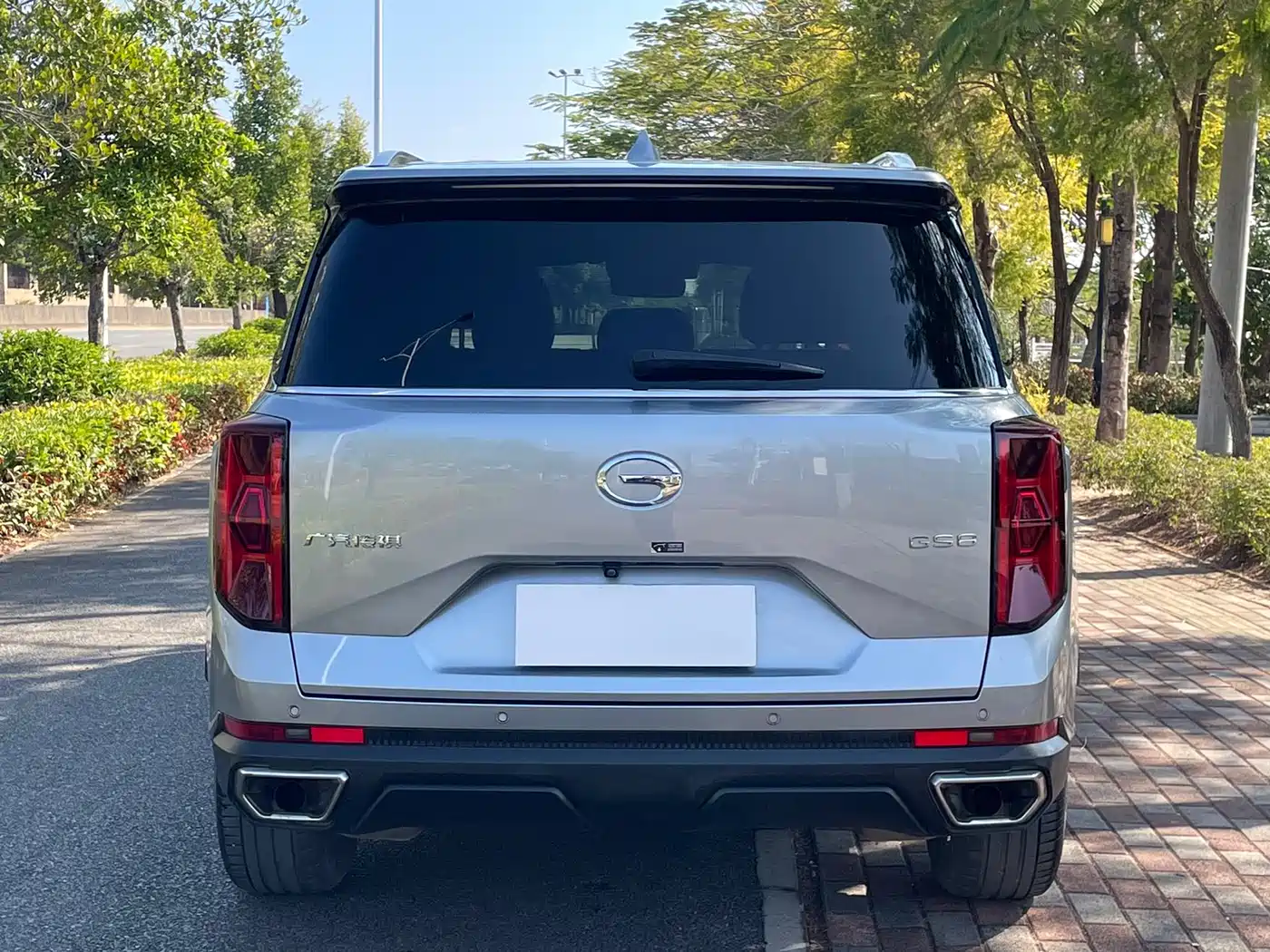 GAC Trumpchi Trumpchi GS8 2022 Pilot Series 2.0TGDI 2WD Luxury Smart Connect Edition (7-Seater) фото 8