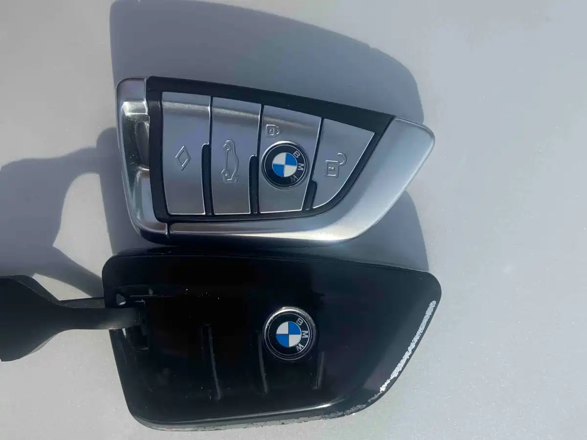 BMW 5 Series 2019 530Li Leading Luxury Package фото 10
