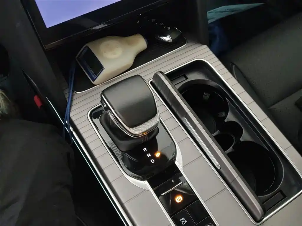 Hongqi HS7 PHEV 2024 2.0T PHEV 4WD Flagship Edition 6-seater фото 14
