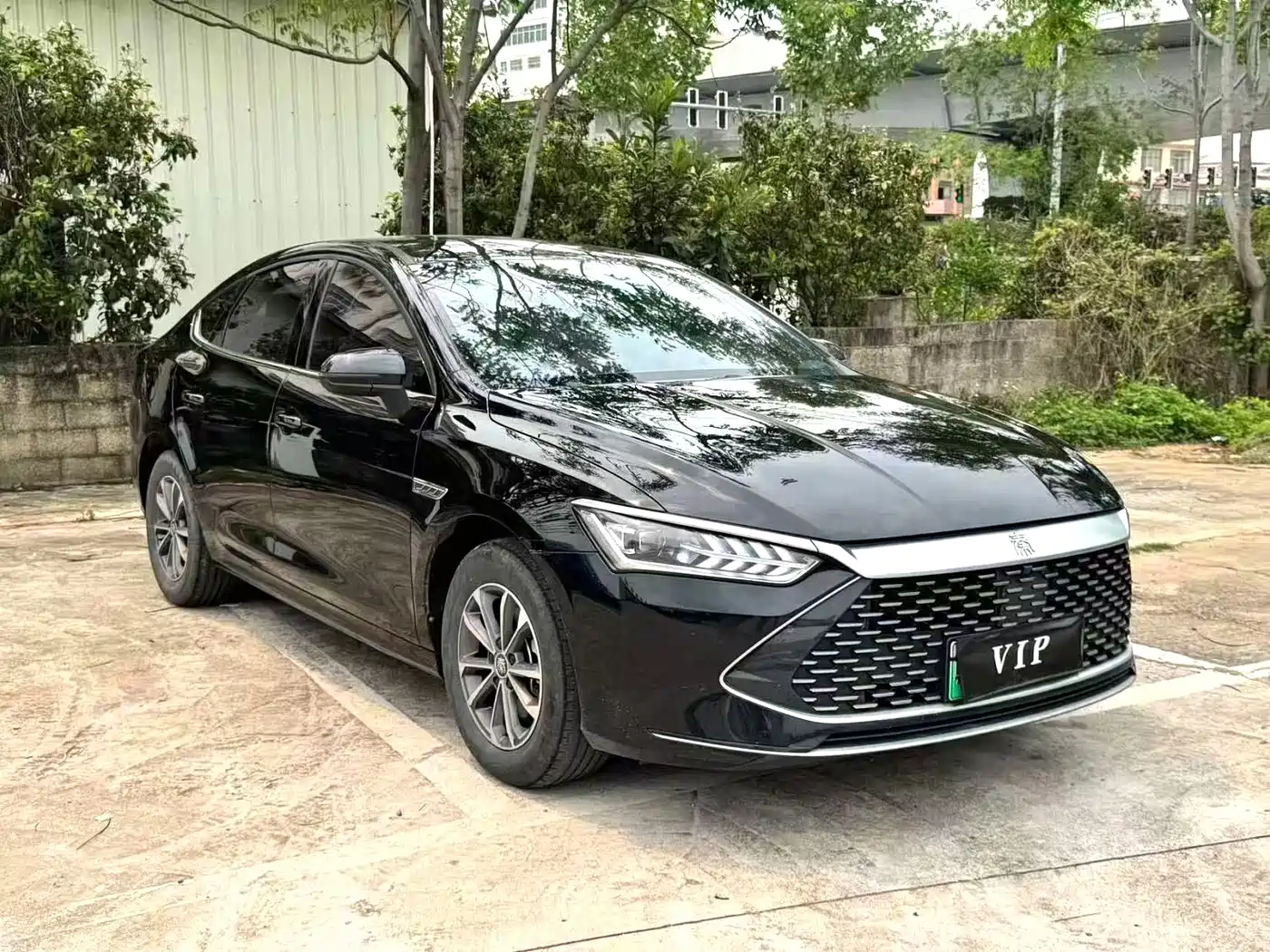BYD Qin PLUS 2023 Champion Edition DM-i 55KM Leading фото 3