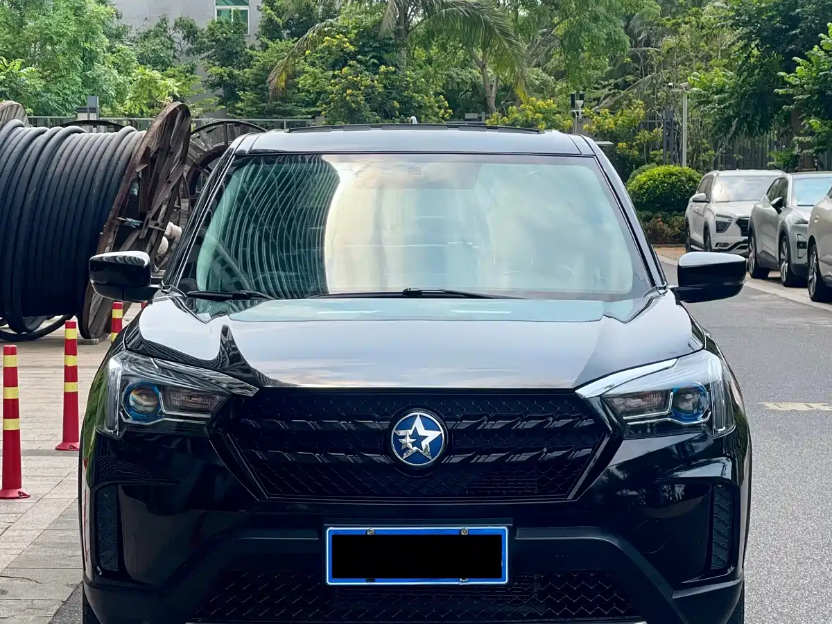 2021 Venucia T60