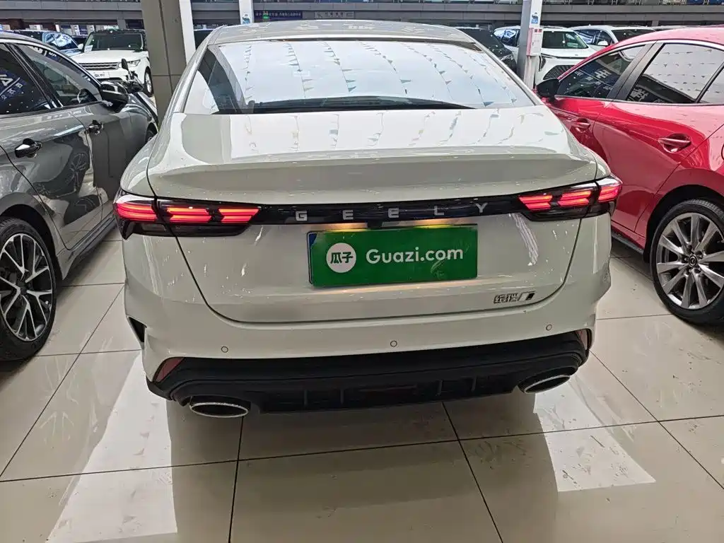 Фото 6 - Geely Binrui