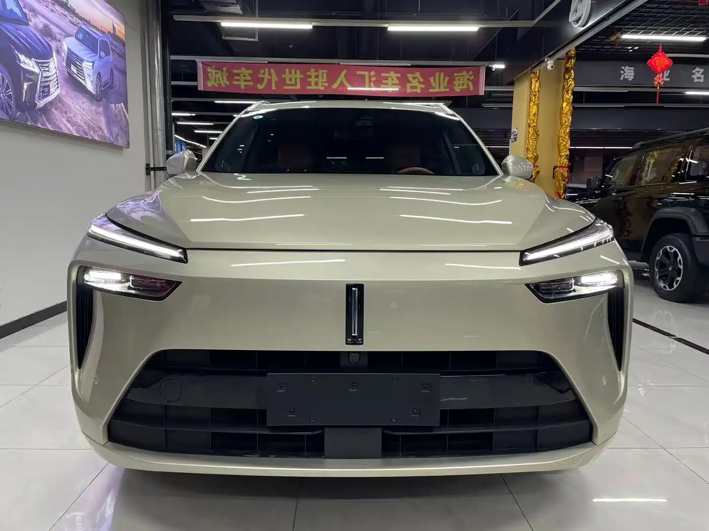 WEY Lanshan 2023 2023 AWD Ultra Long Range Edition