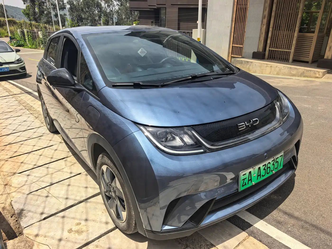 BYD Dolphin 2025 420km Freedom Edition фото 3
