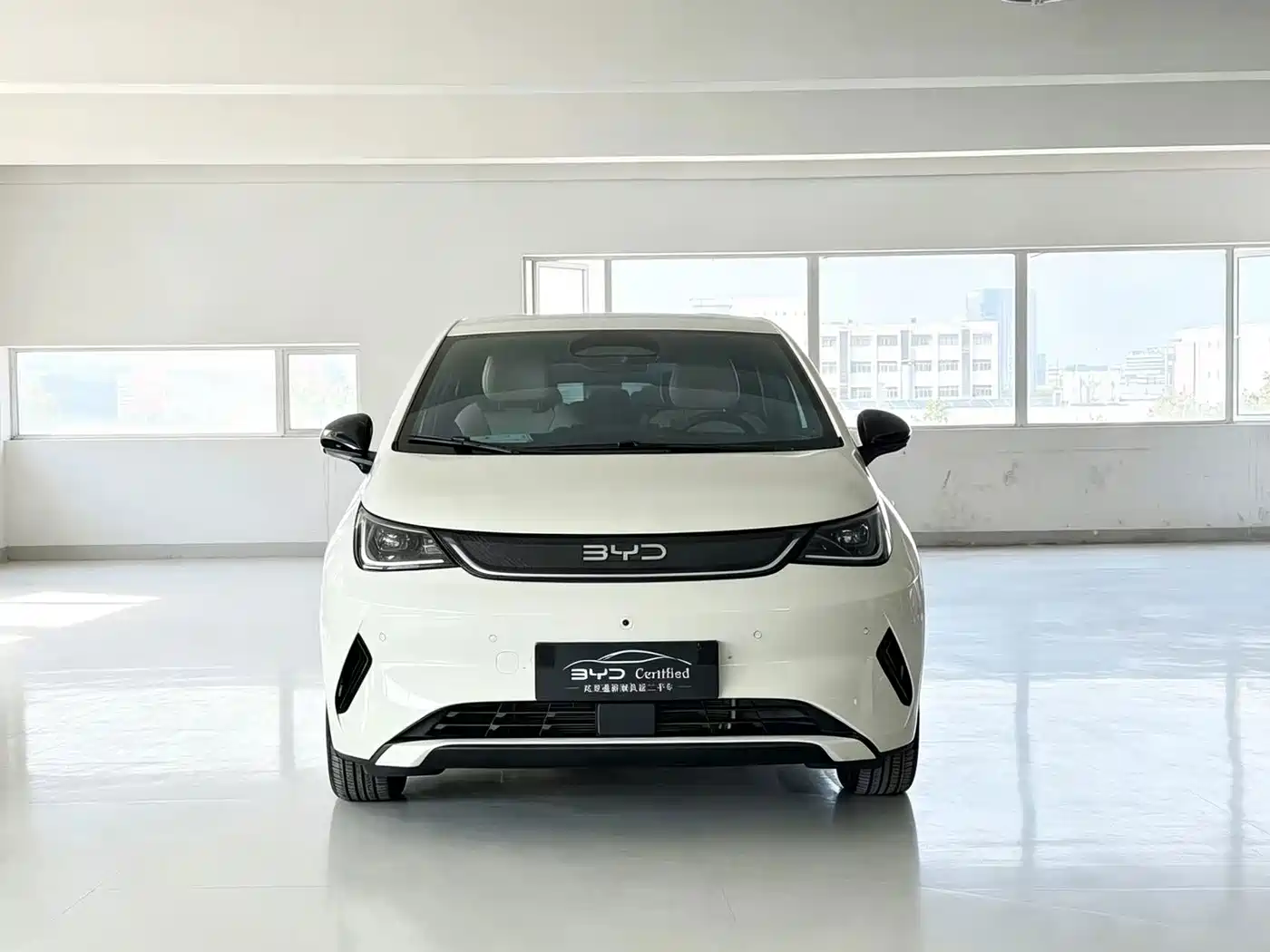 BYD Dolphin 2026 2025 Smart Drive Edition 420km Freedom Version