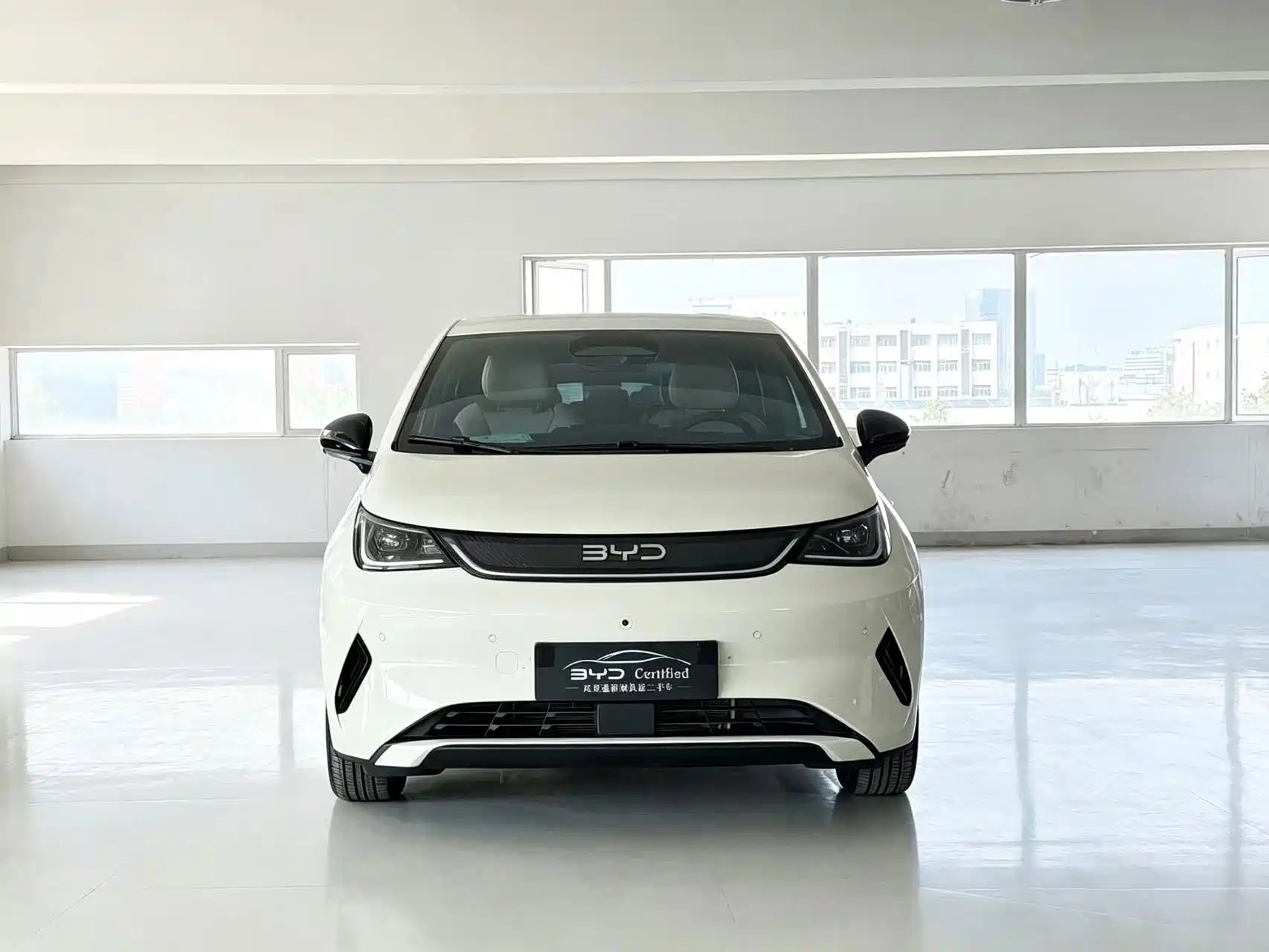 Фото 2 - BYD Dolphin