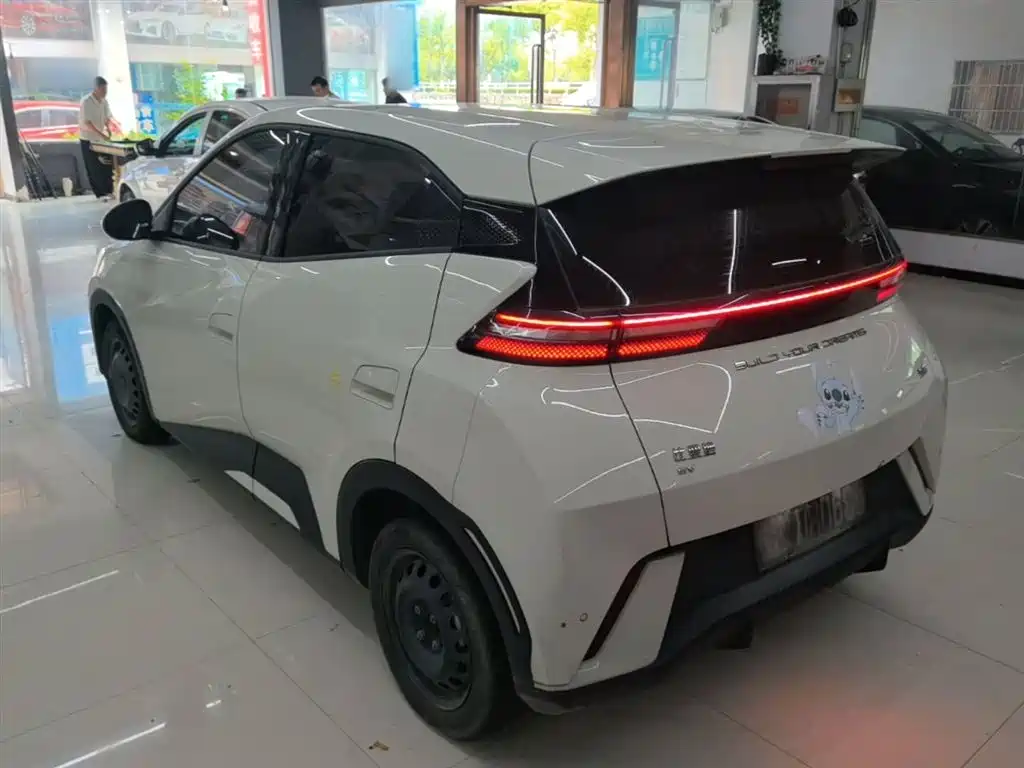 BYD Seagull 2024 Glory Edition 305km Vitality Edition фото 5