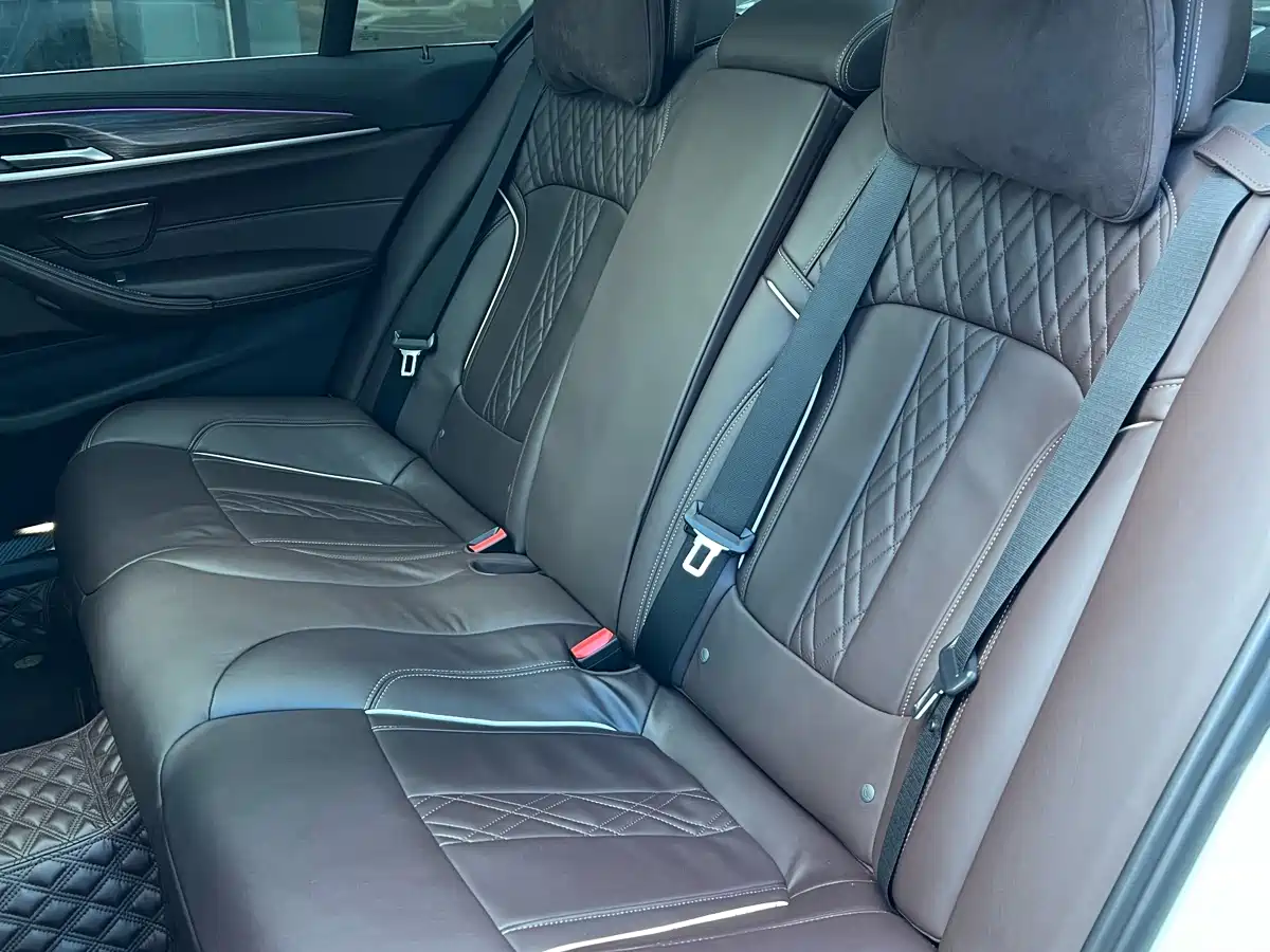 BMW 5 Series 2019 Facelift 530Li Premium Luxury Package фото 13