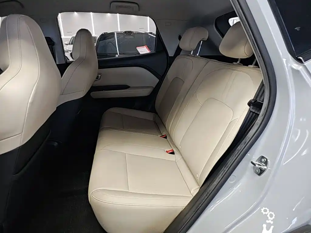Wuling Motors Wuling Binguo PLUS 2024 2024 Model 510km Flagship Edition 4-Seater