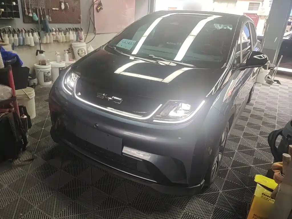 BYD Dolphin 2023 401km Knight Edition