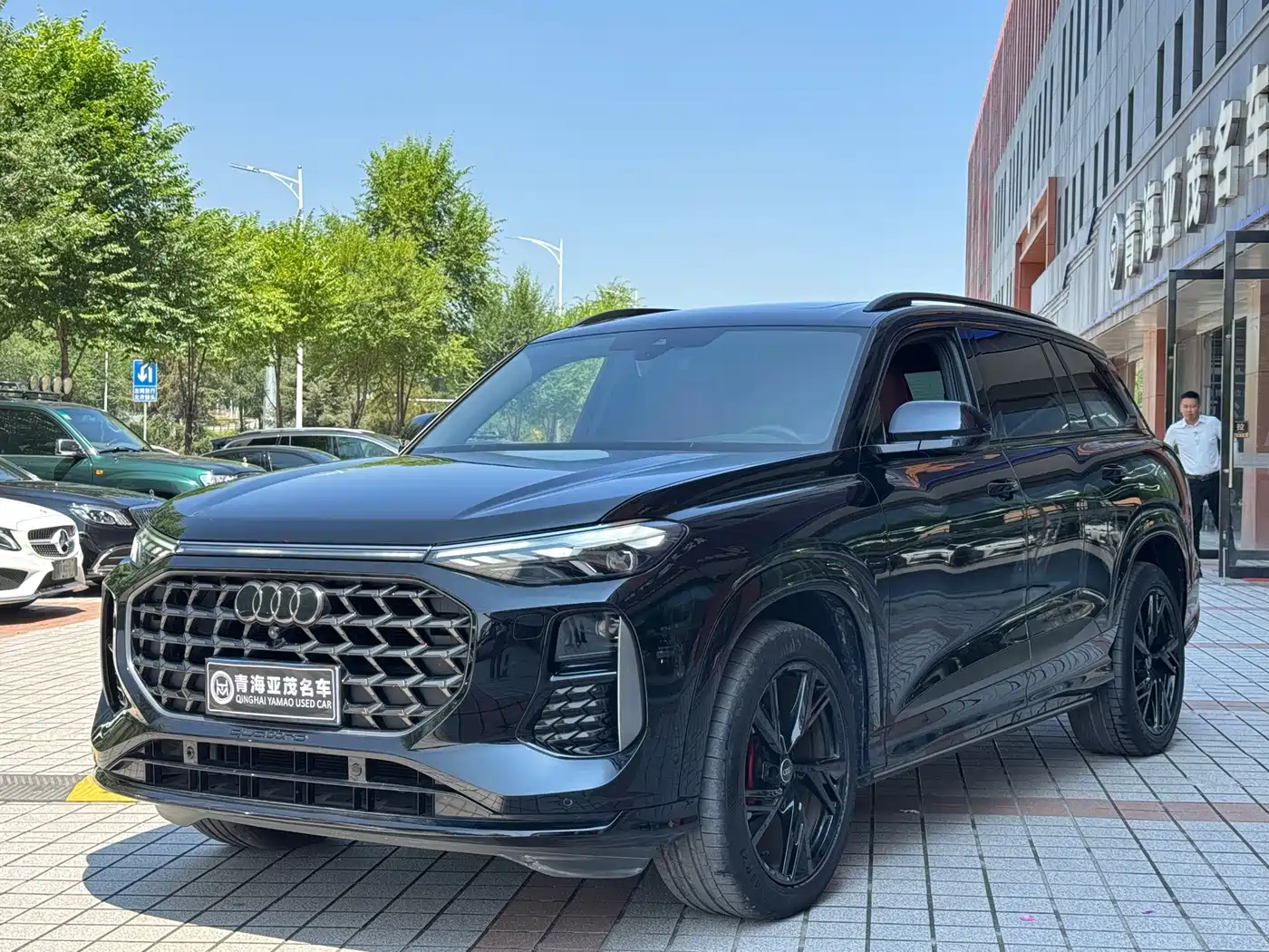 Audi Q6 2024 2024 45 TFSI quattro Black Warrior Edition 6-seater