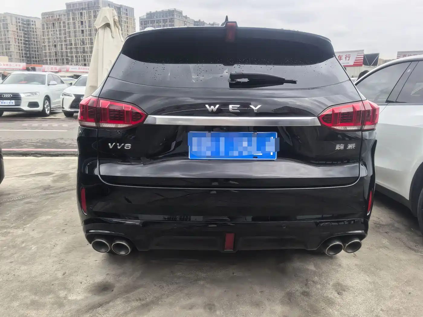 WEI PAI WEI BRAND VV6
