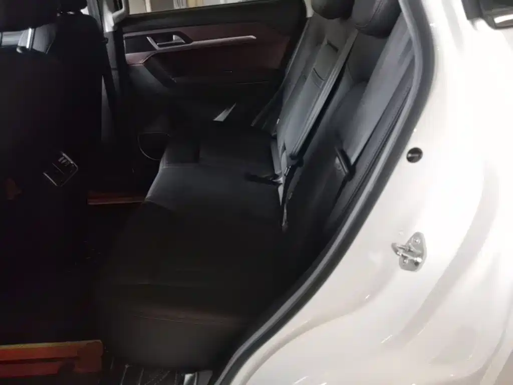 Haval H6 Coupe 2019 2018 Red Label 1.5T Auto 2WD Ultra Luxury