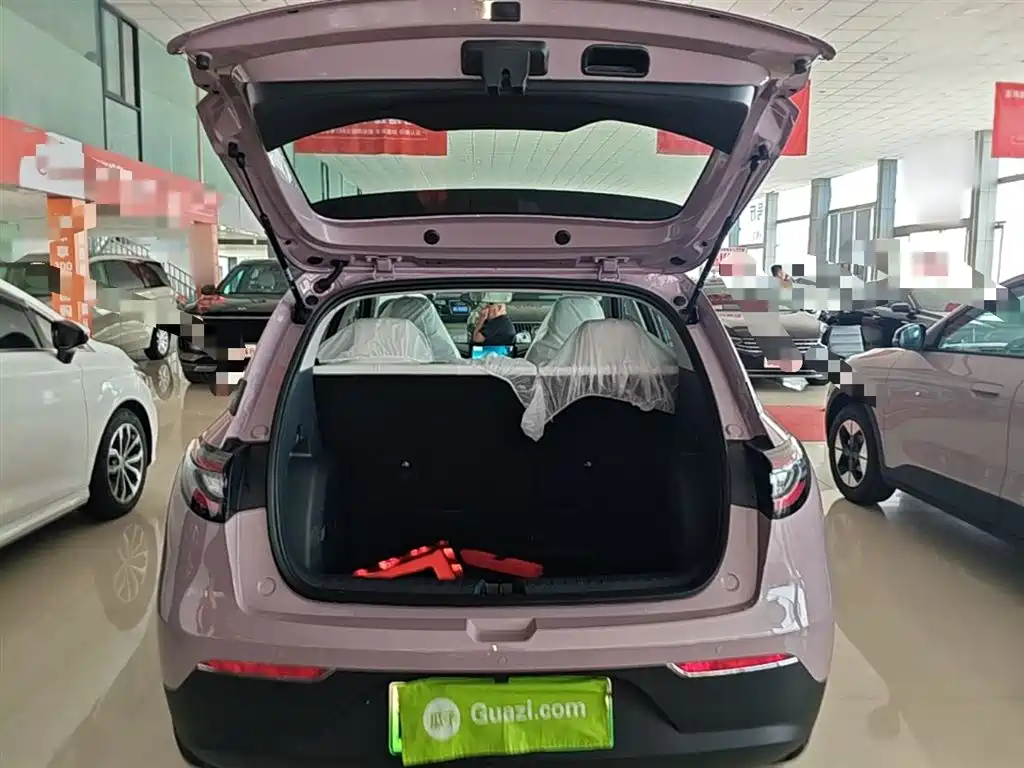 Geely Galaxy Starry Wish 2026 Edition 310km Youth Version фото 19